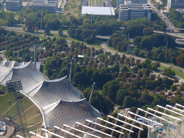 P9105854.JPG