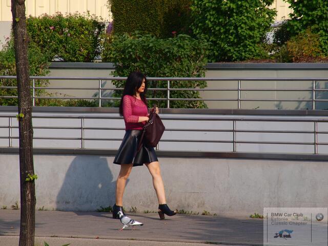 P9105904.JPG