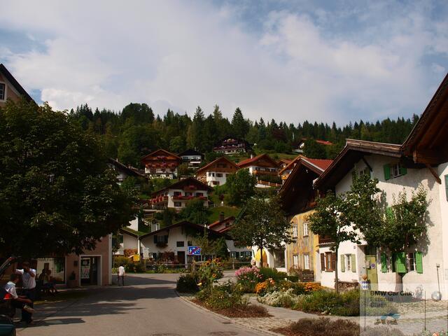P9116160.JPG