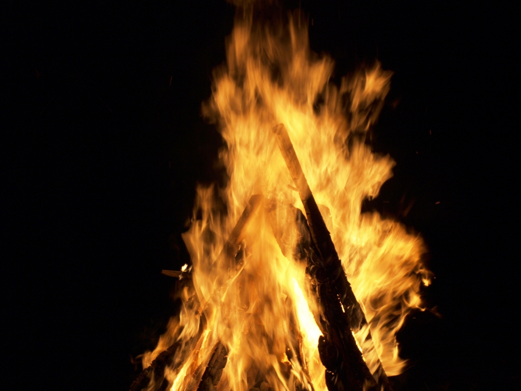PA024559.JPG