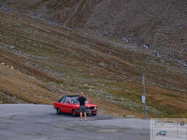 P9116269.JPG