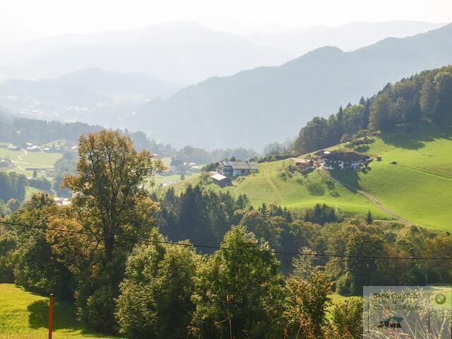 P9126377_edited.jpg
