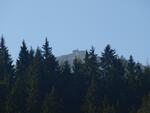 P9136467.JPG