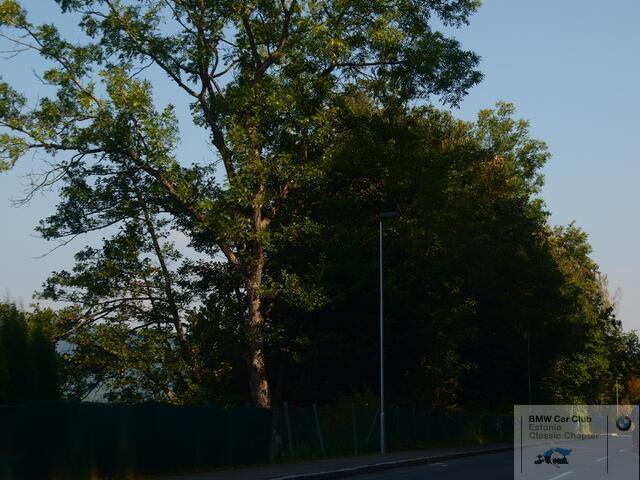 P9146692.JPG