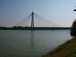 P9156770.JPG