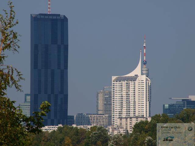 P9156773.JPG