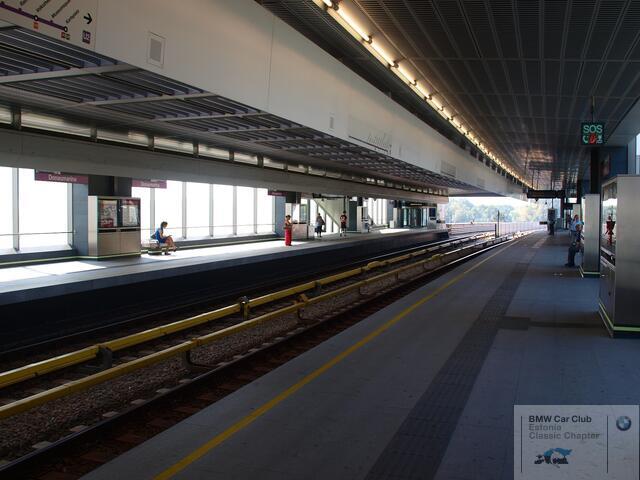 P9156774.JPG