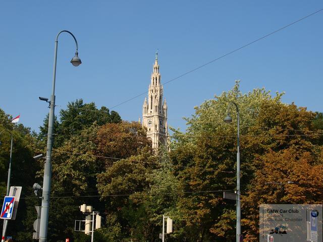 P9156791.JPG