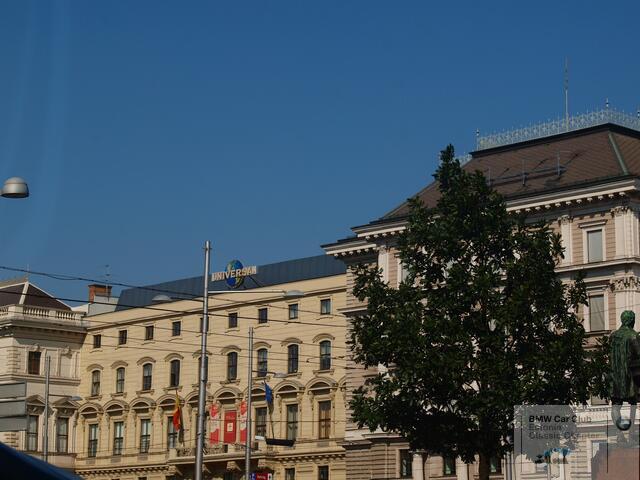 P9156871.JPG
