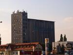 P9156882.JPG