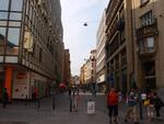 P9166955.JPG