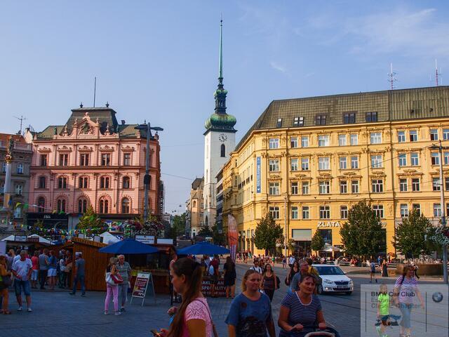 P9166994_edited.jpg