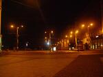 P9167051.JPG