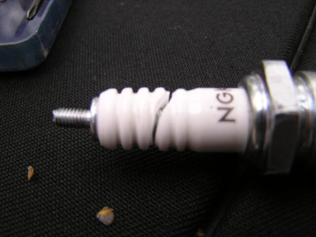 P7280029.JPG
