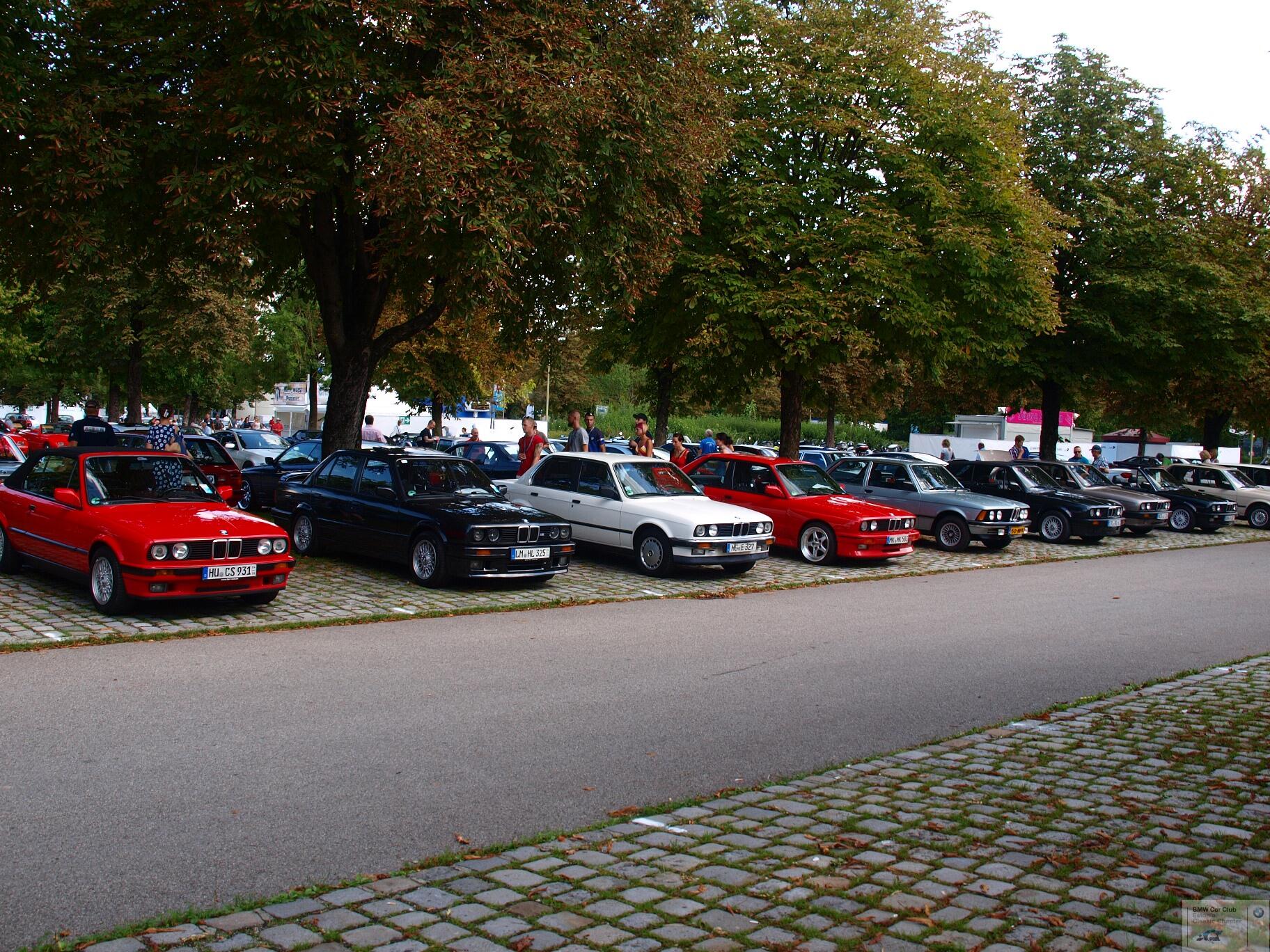 P9094819.JPG