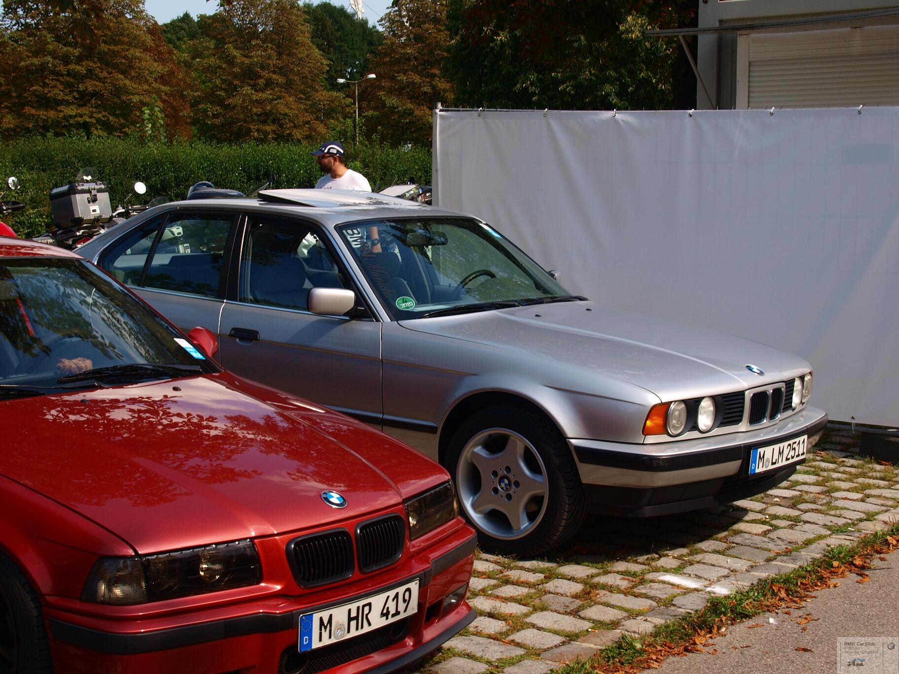 P9094914.JPG