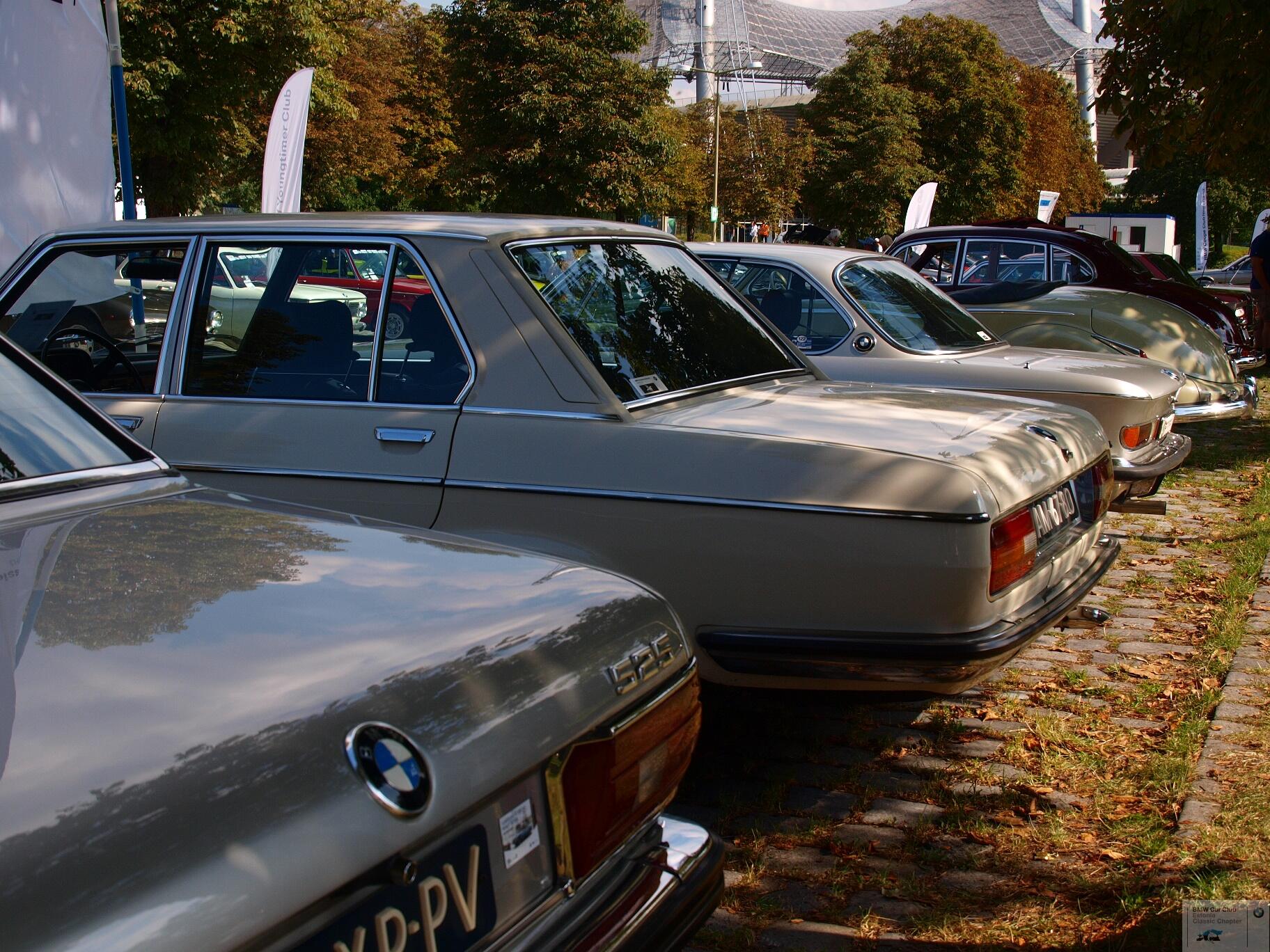 P9094993.JPG