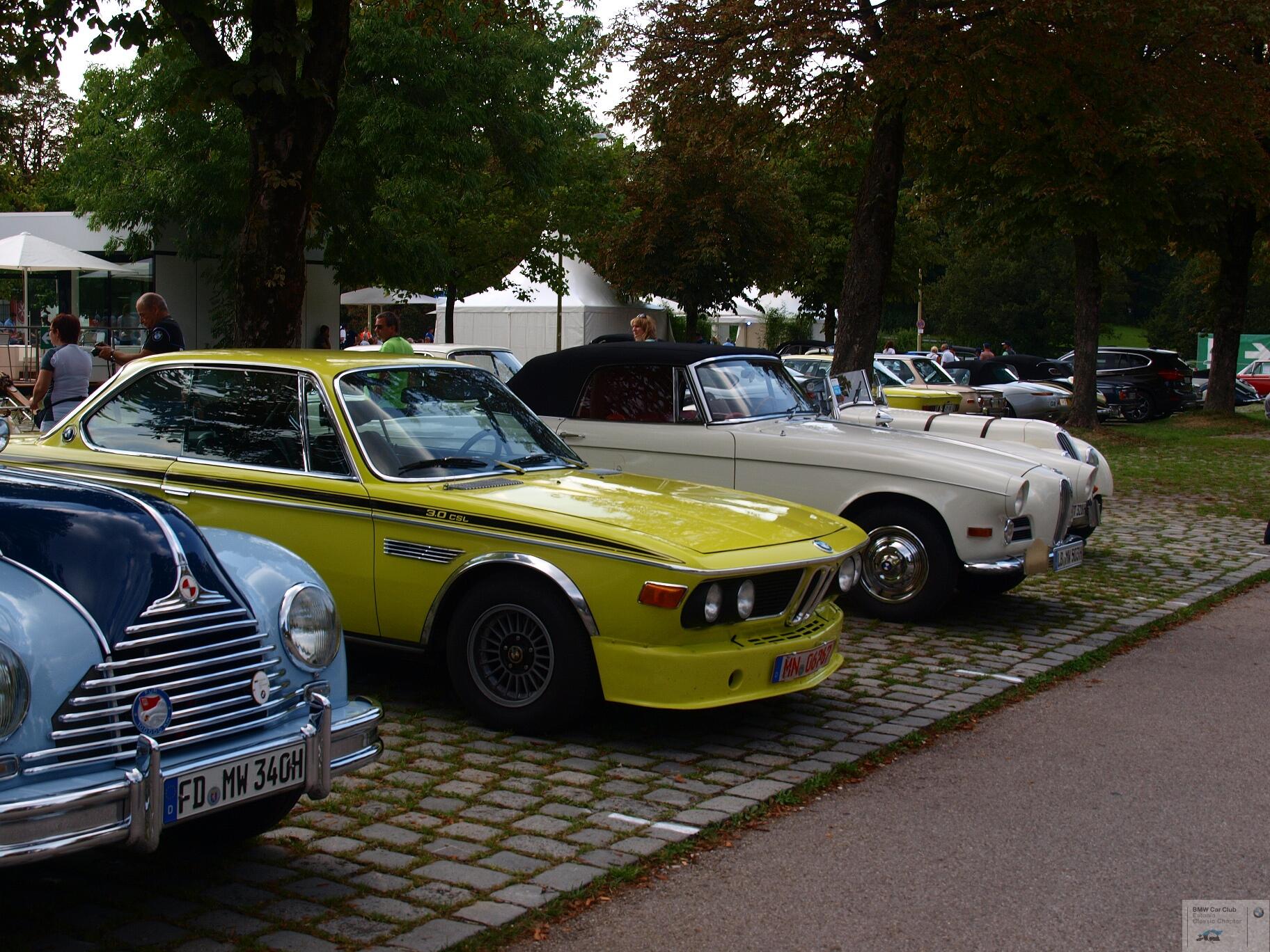 P9095119.JPG