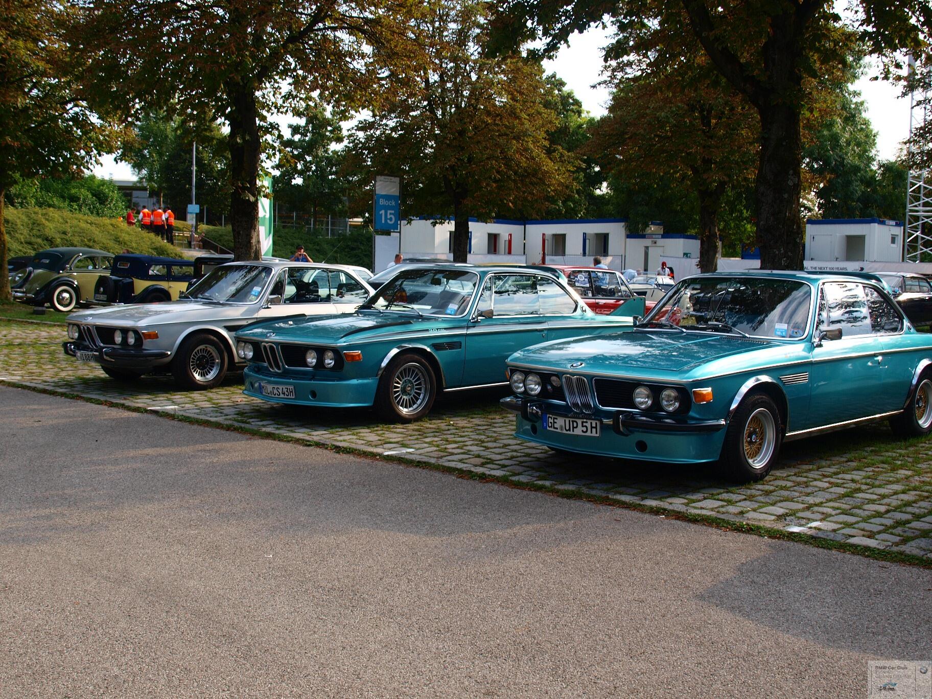 P9095130.JPG