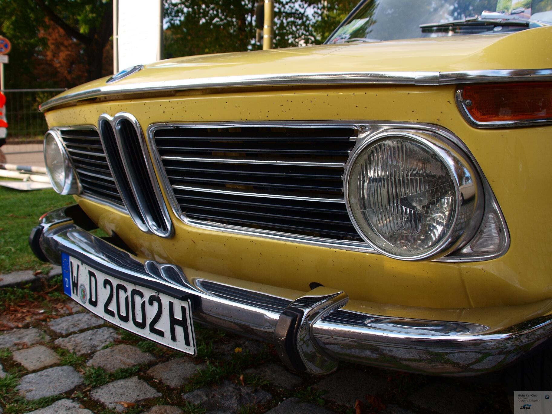 P9095175.JPG