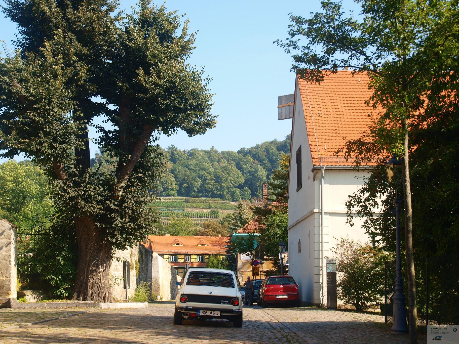 P9084710.JPG