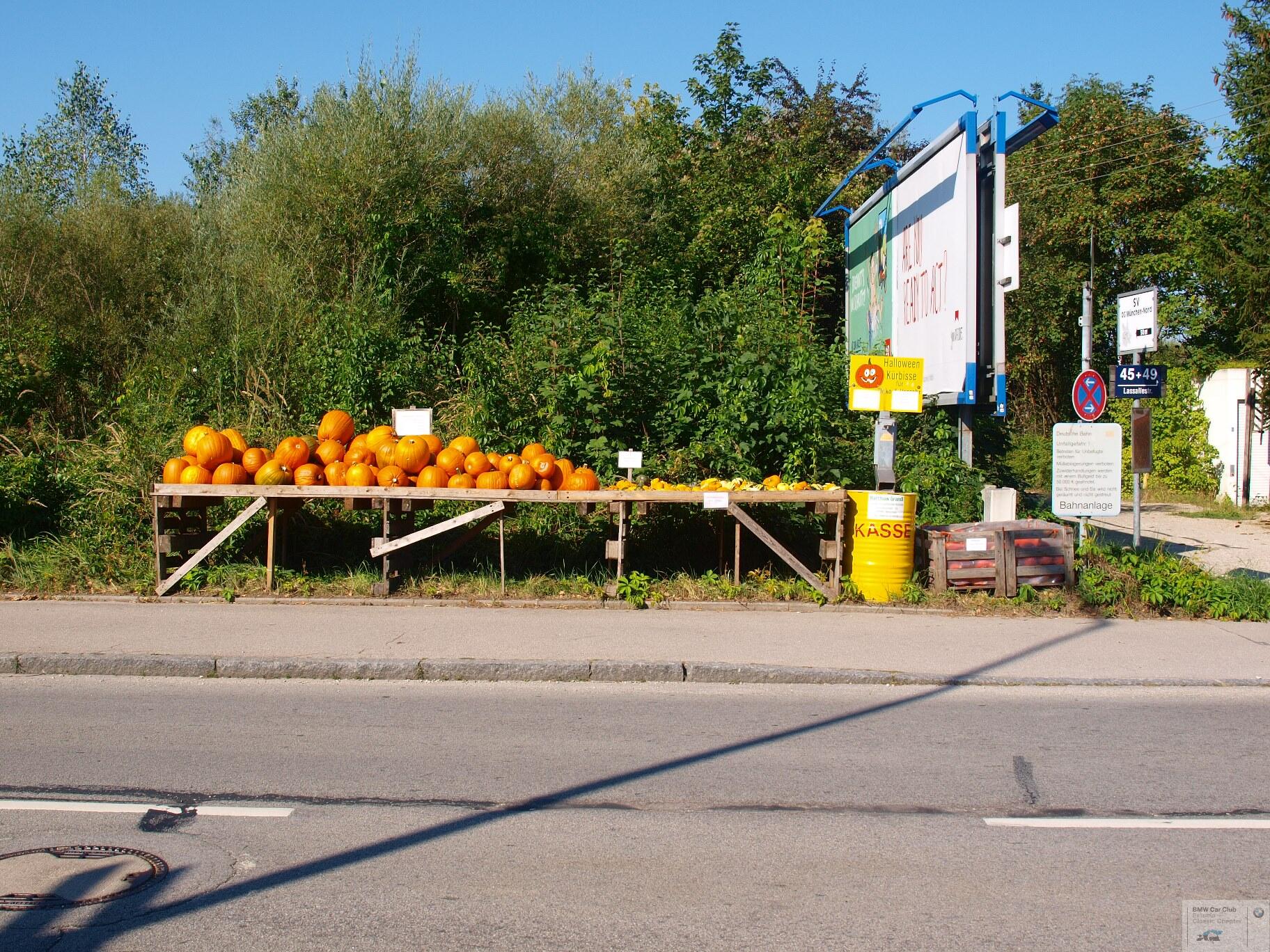 P9094748.JPG