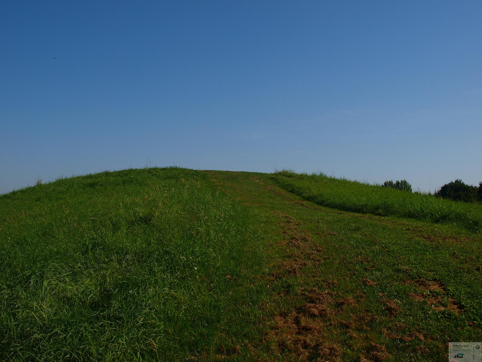 P9094750.JPG