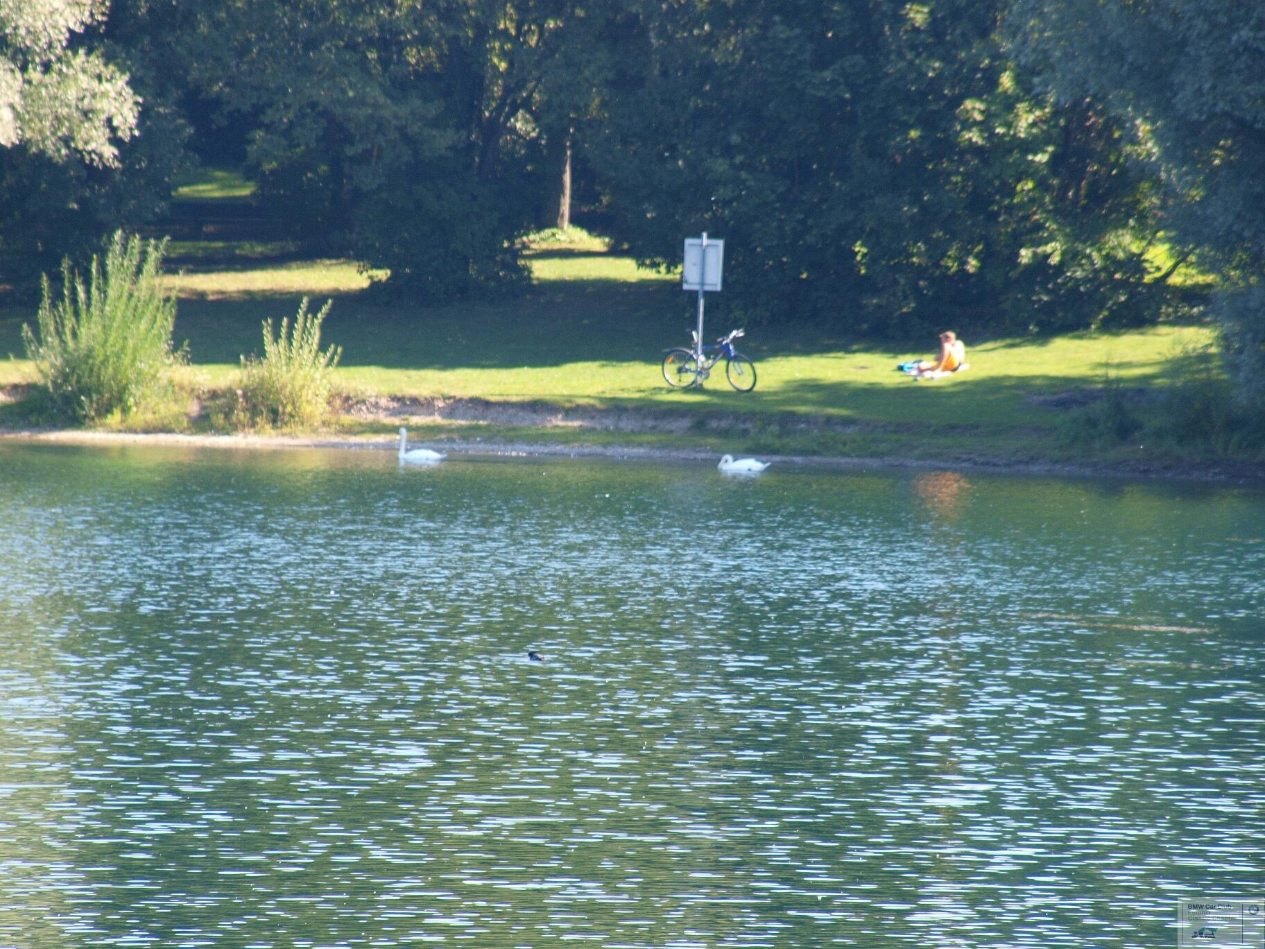 P9094757.JPG