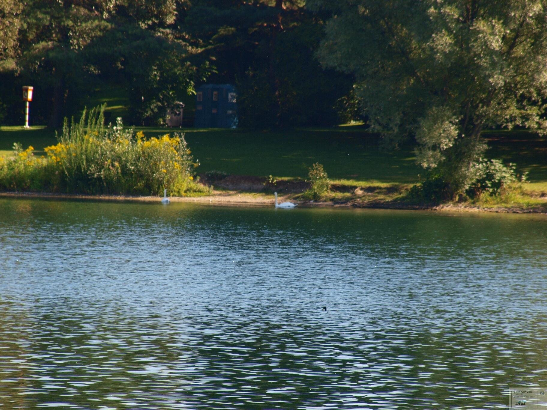 P9094759.JPG