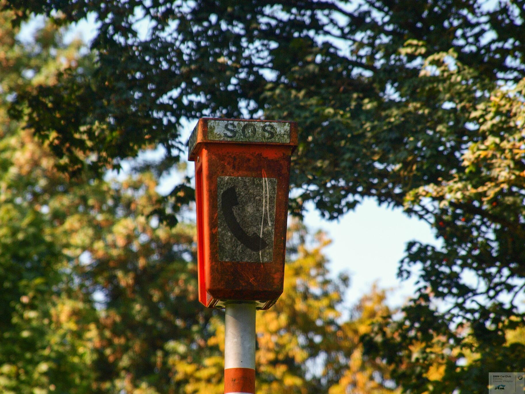 P9094762_edited.jpg