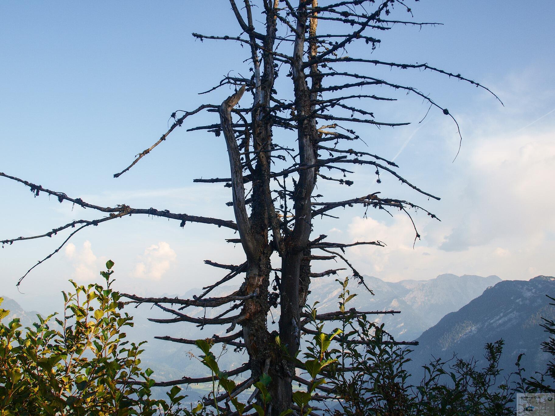 P9126430_edited.jpg