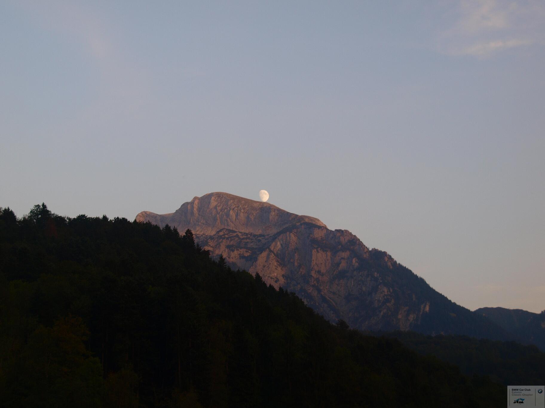P9126461.JPG