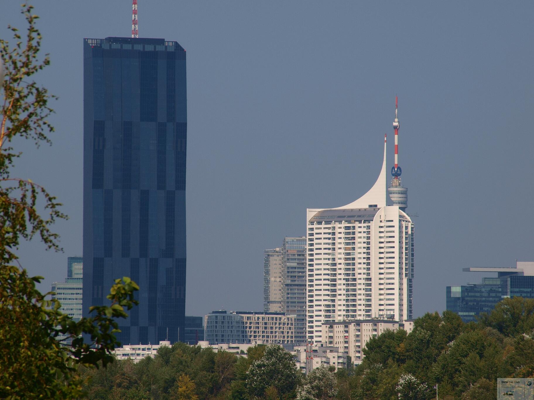 P9156773.JPG
