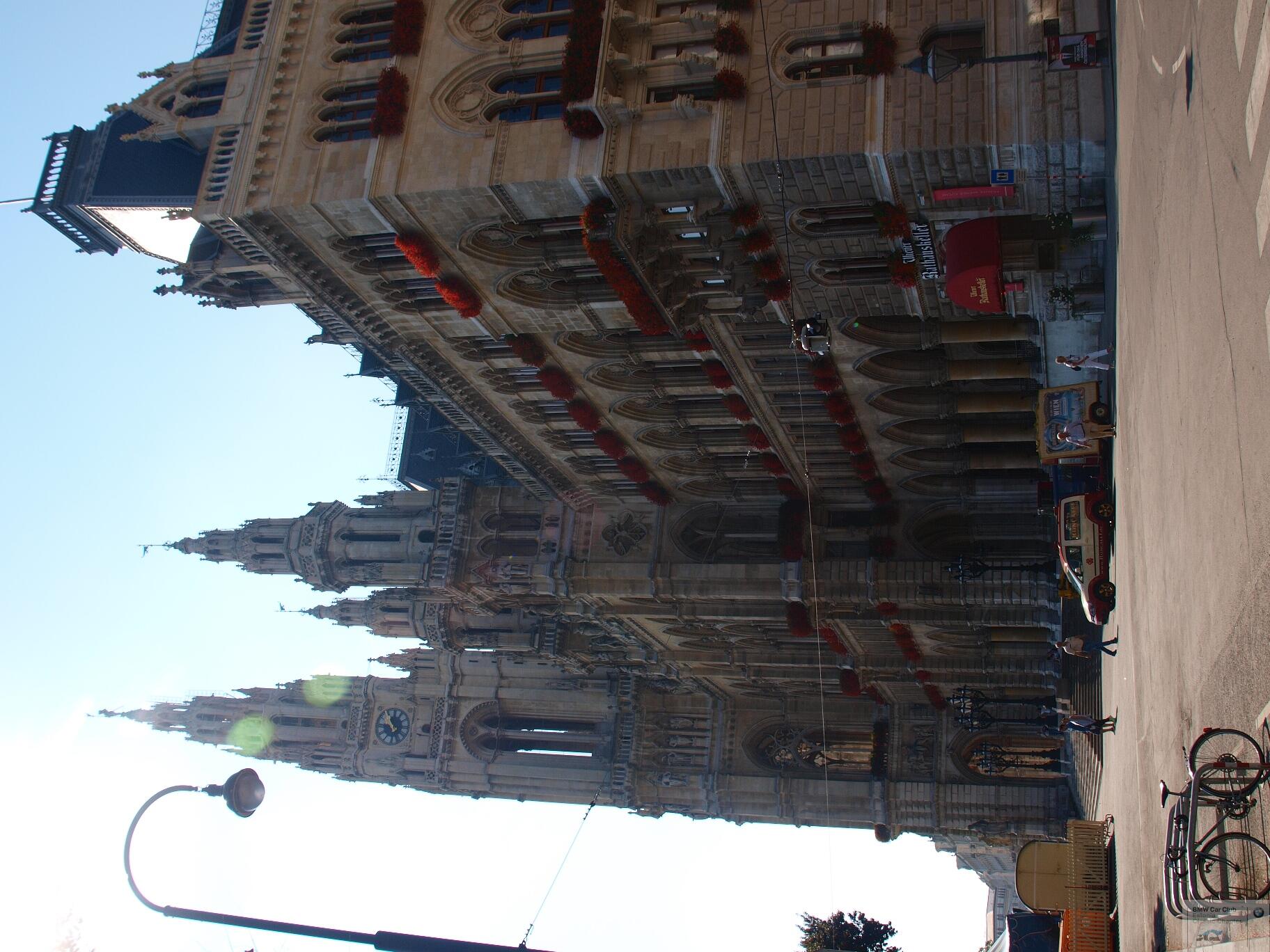 P9156784.JPG