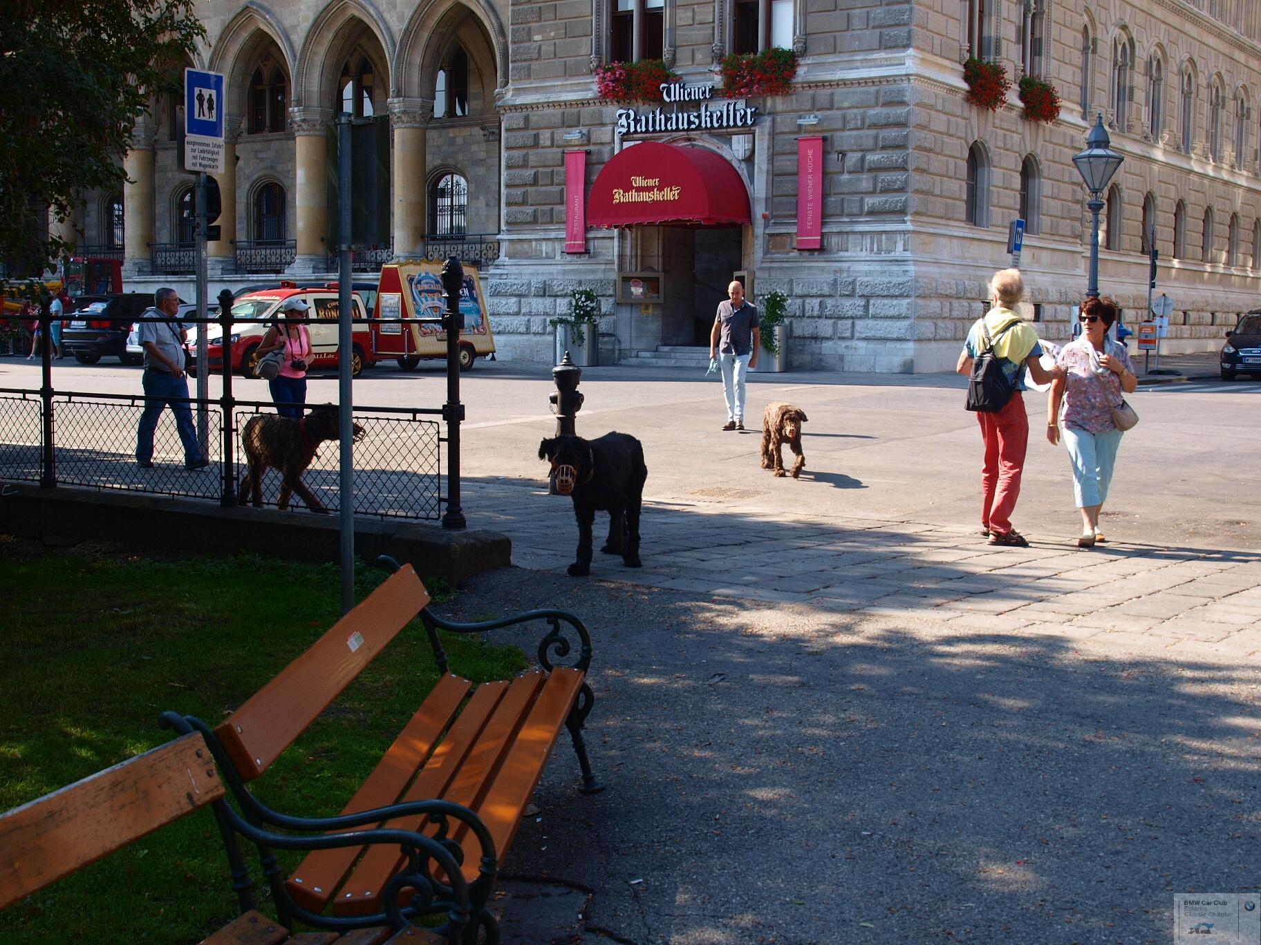 P9156785.JPG