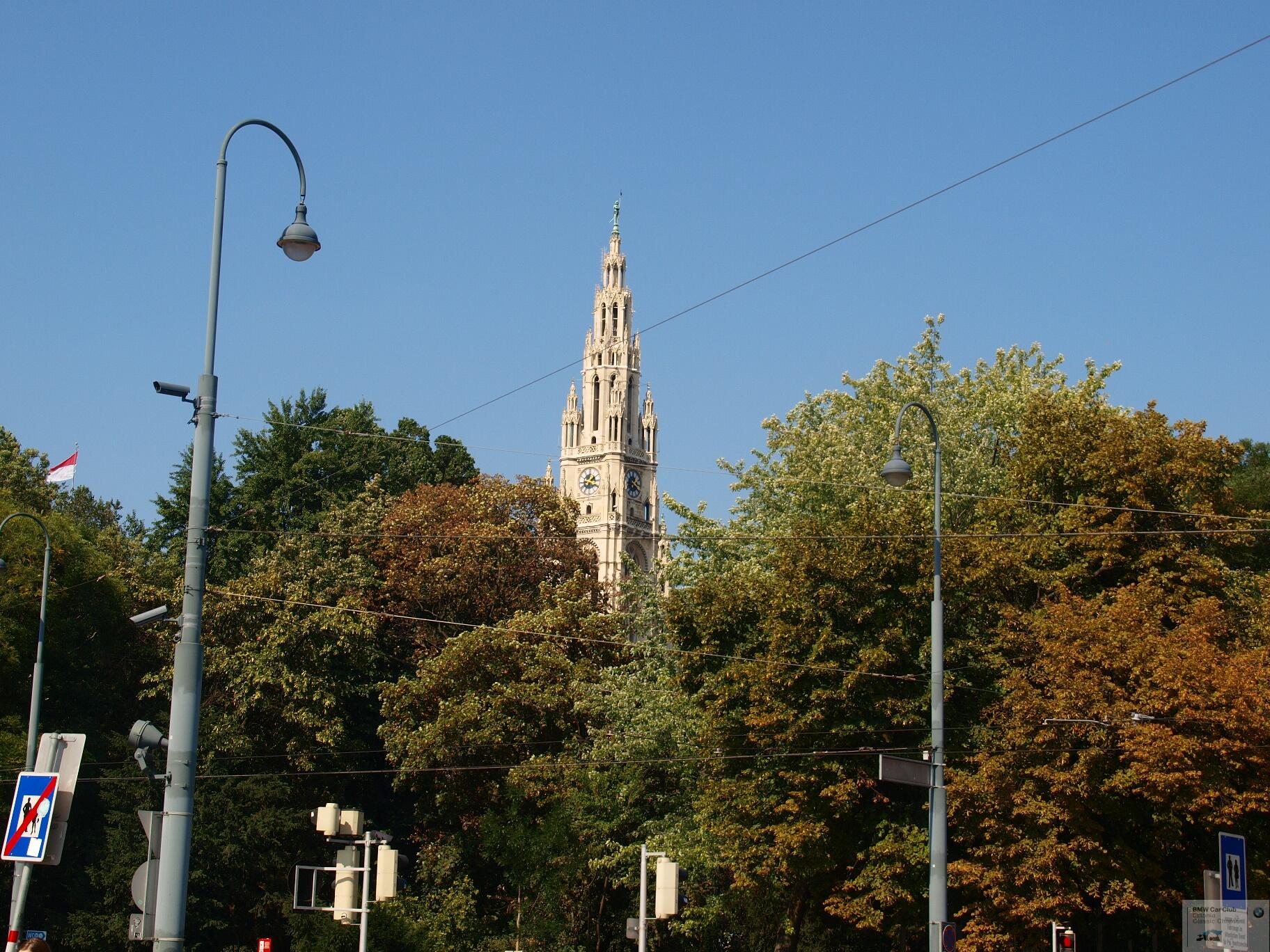 P9156791.JPG