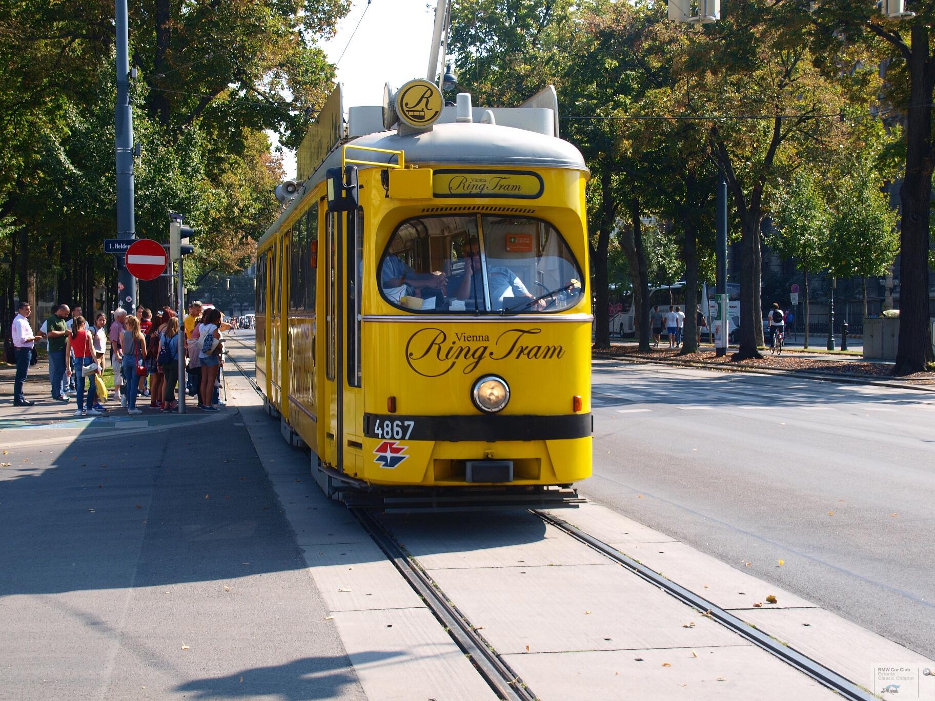 P9156809.JPG