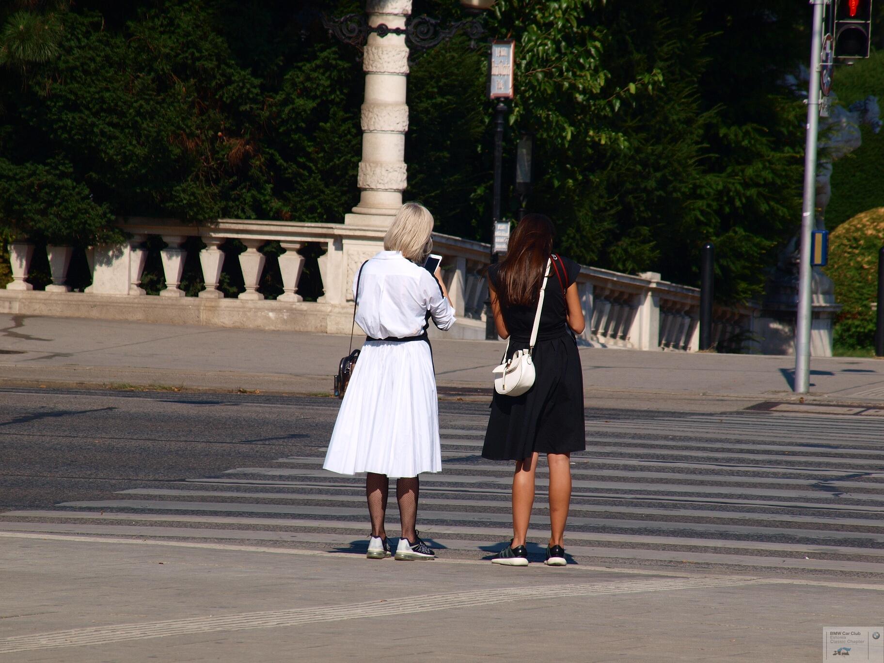 P9156865.JPG