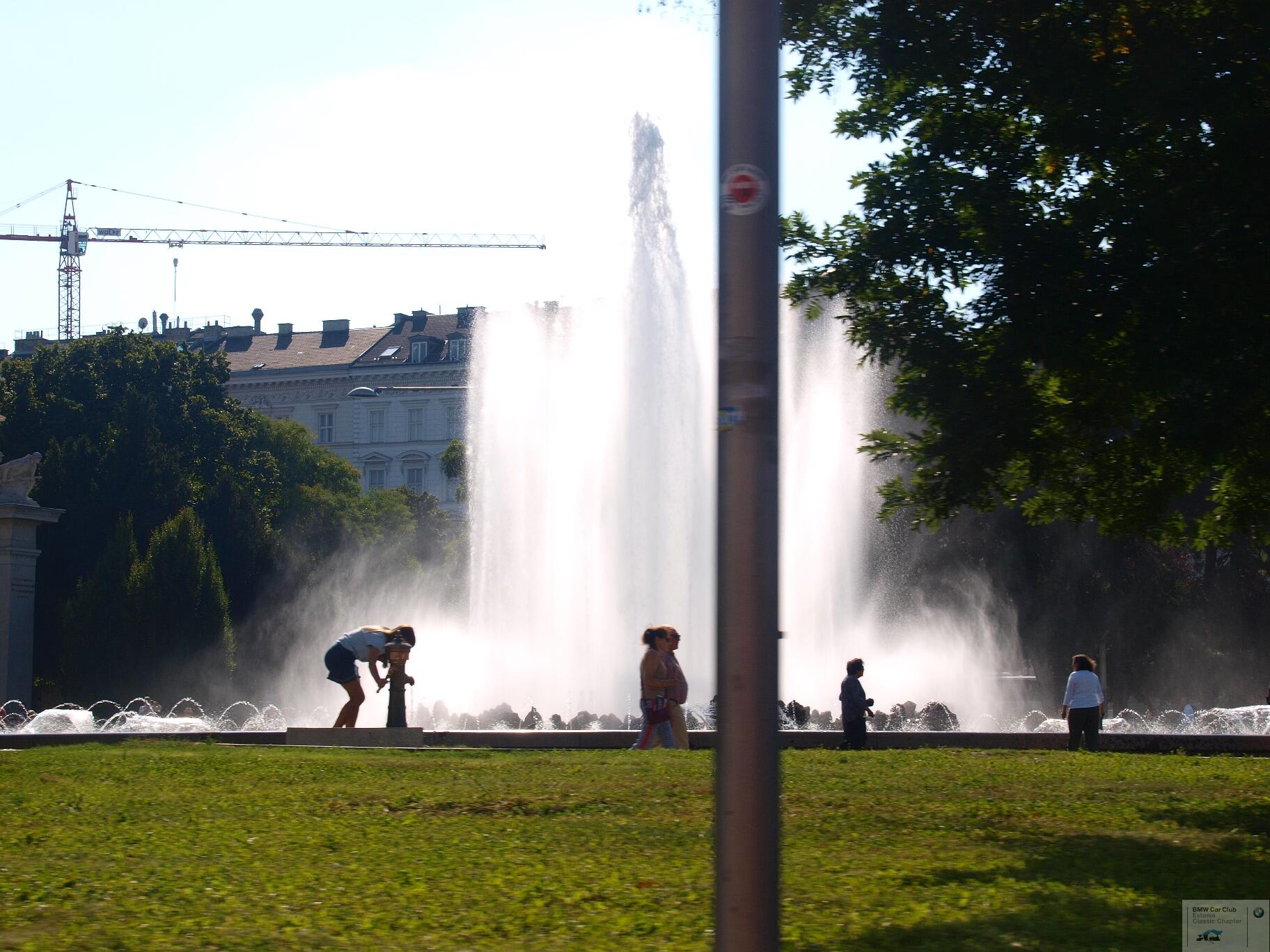 P9156872.JPG