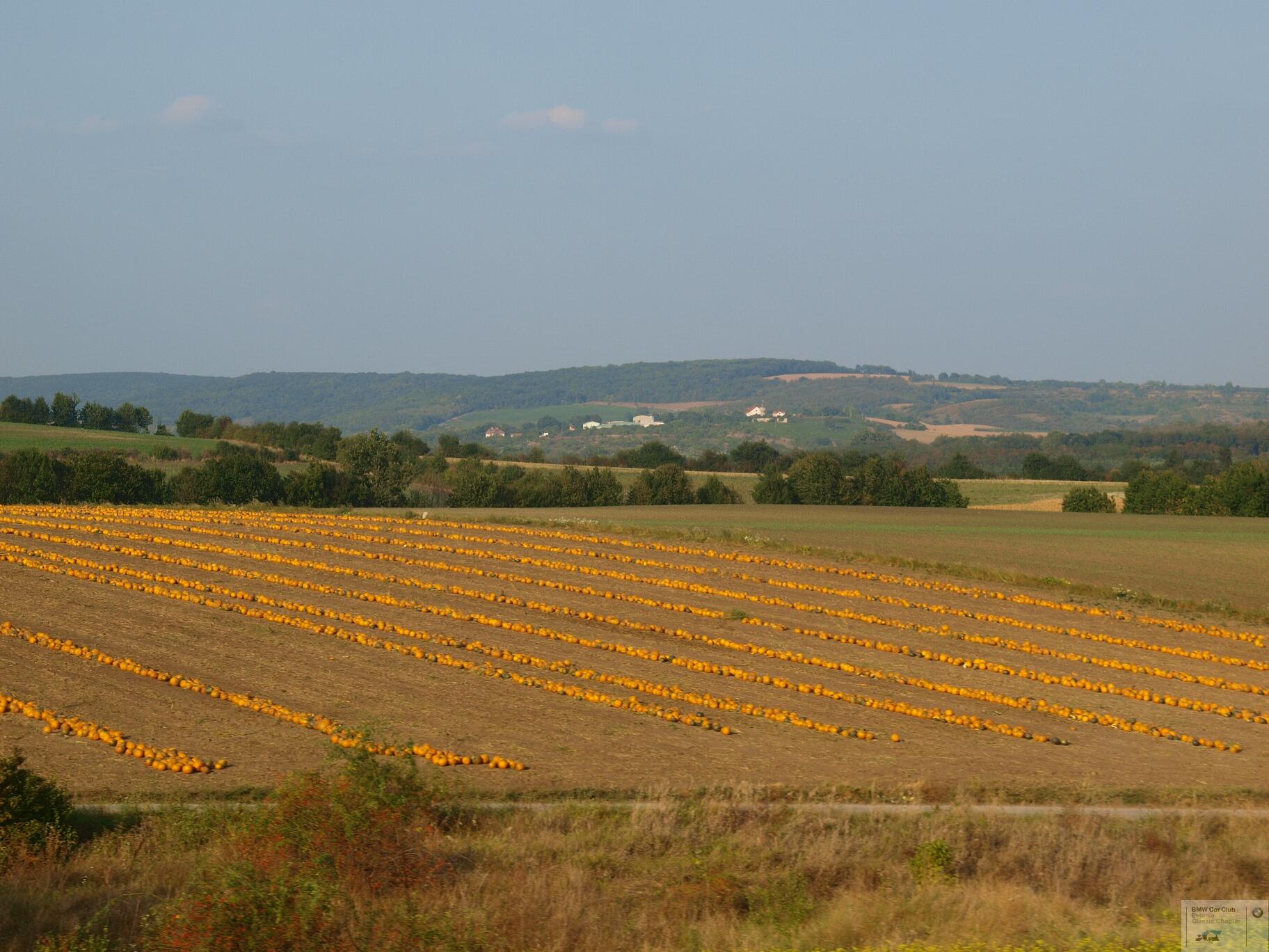 P9156877.JPG