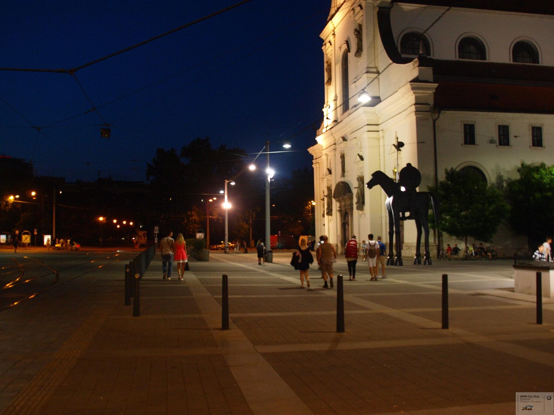 P9156894.JPG