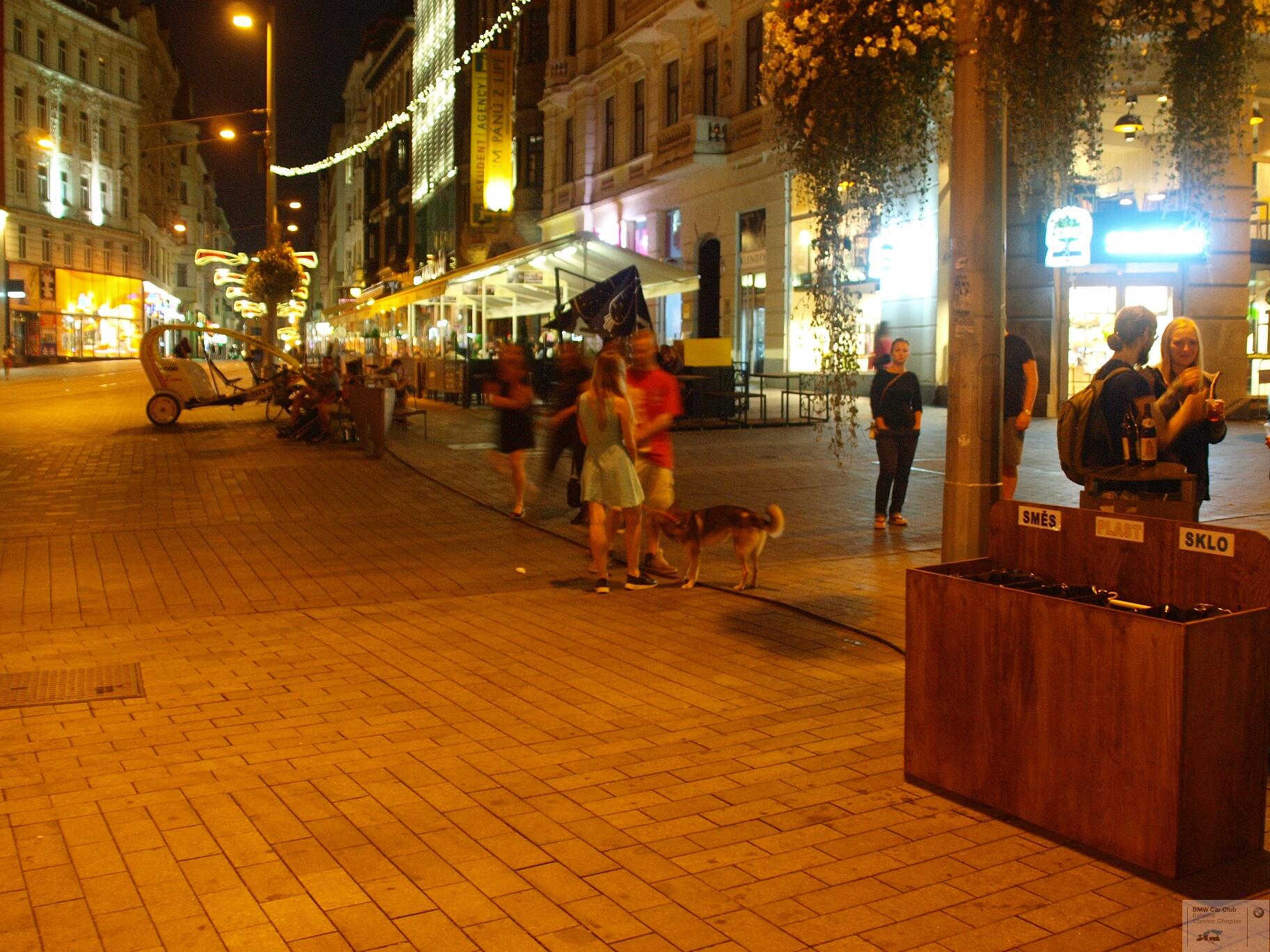 P9156902.JPG