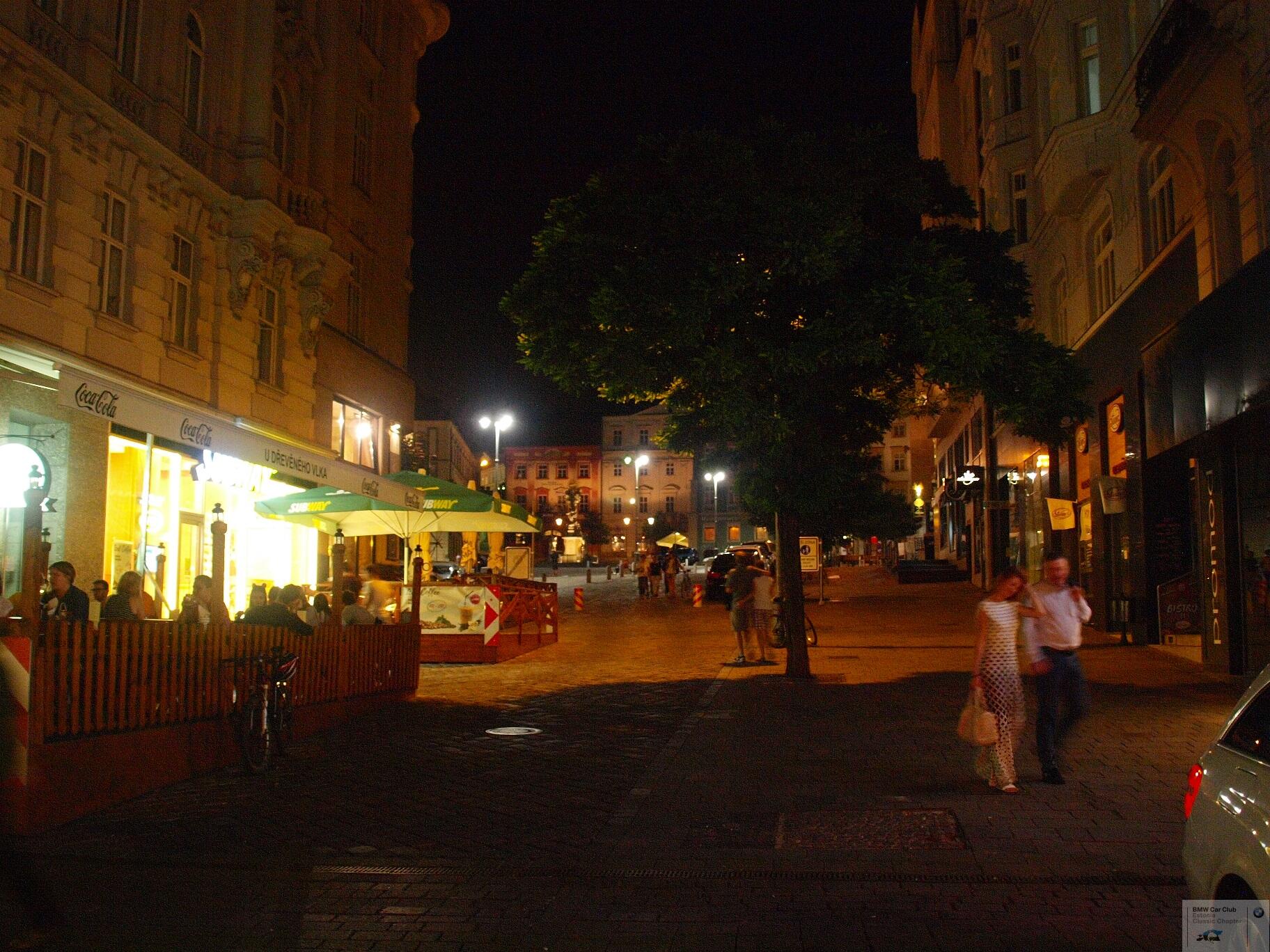 P9156910.JPG