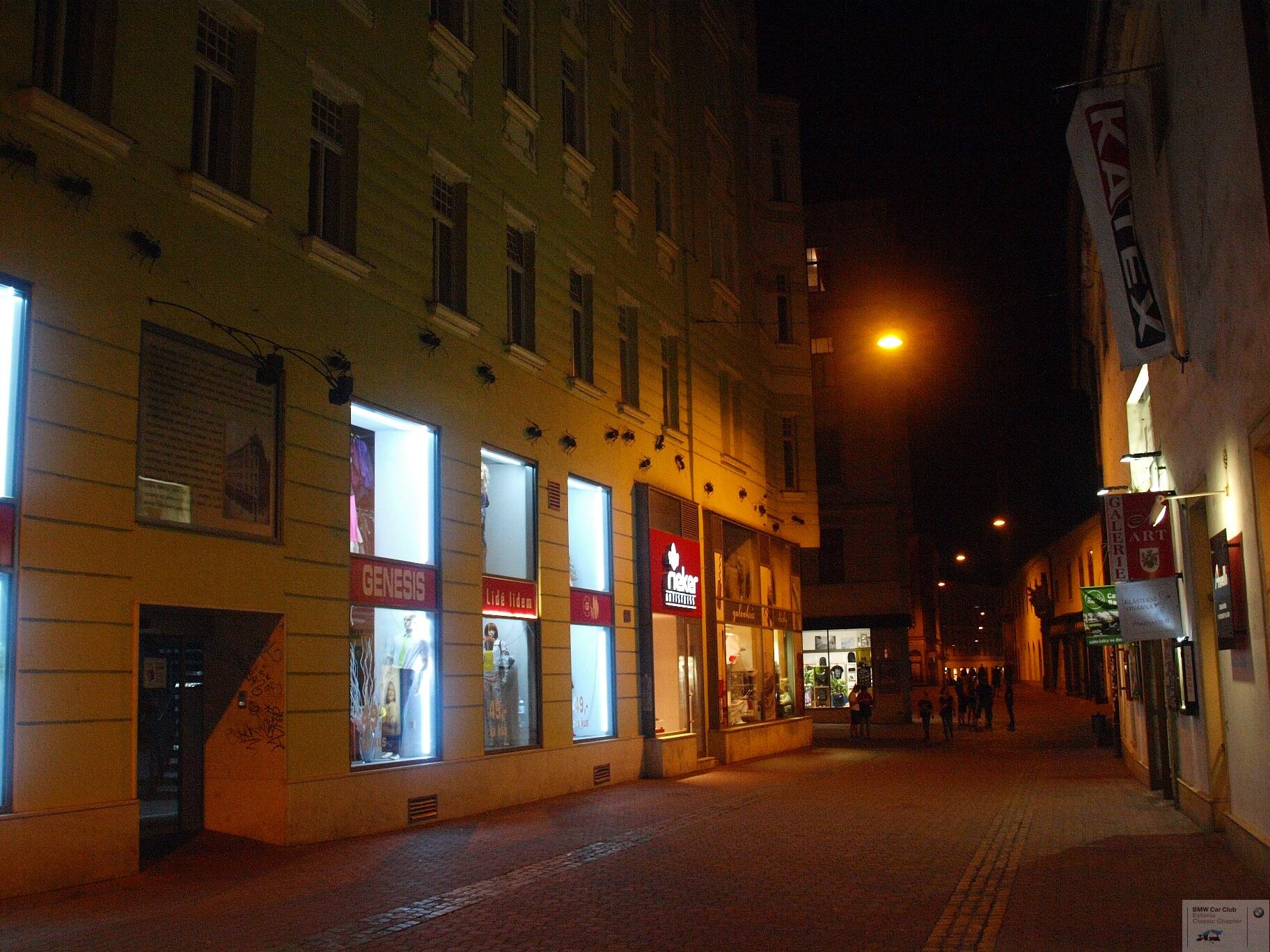P9156915.JPG