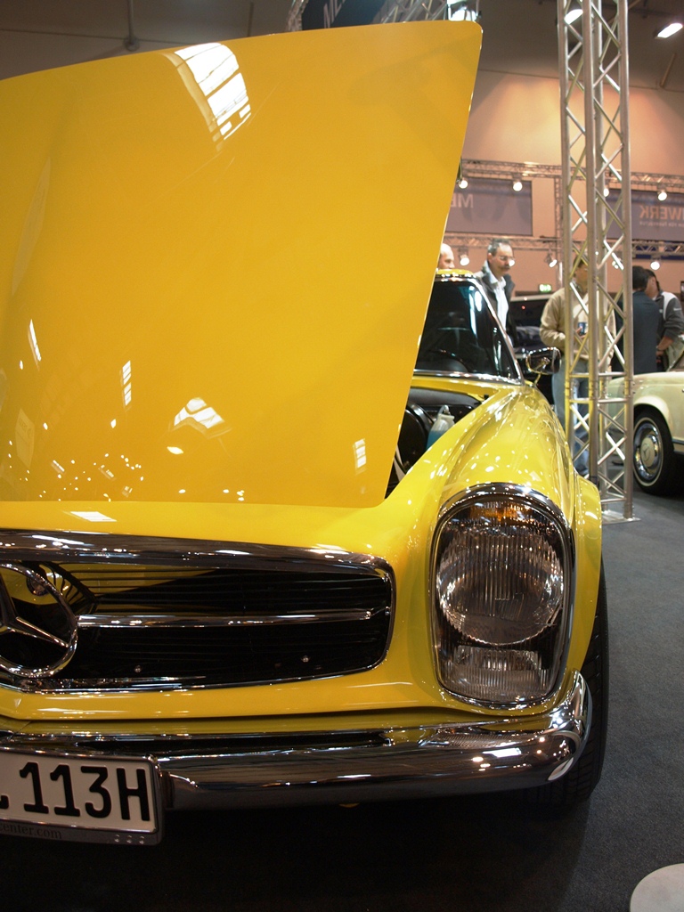 P3315635.JPG