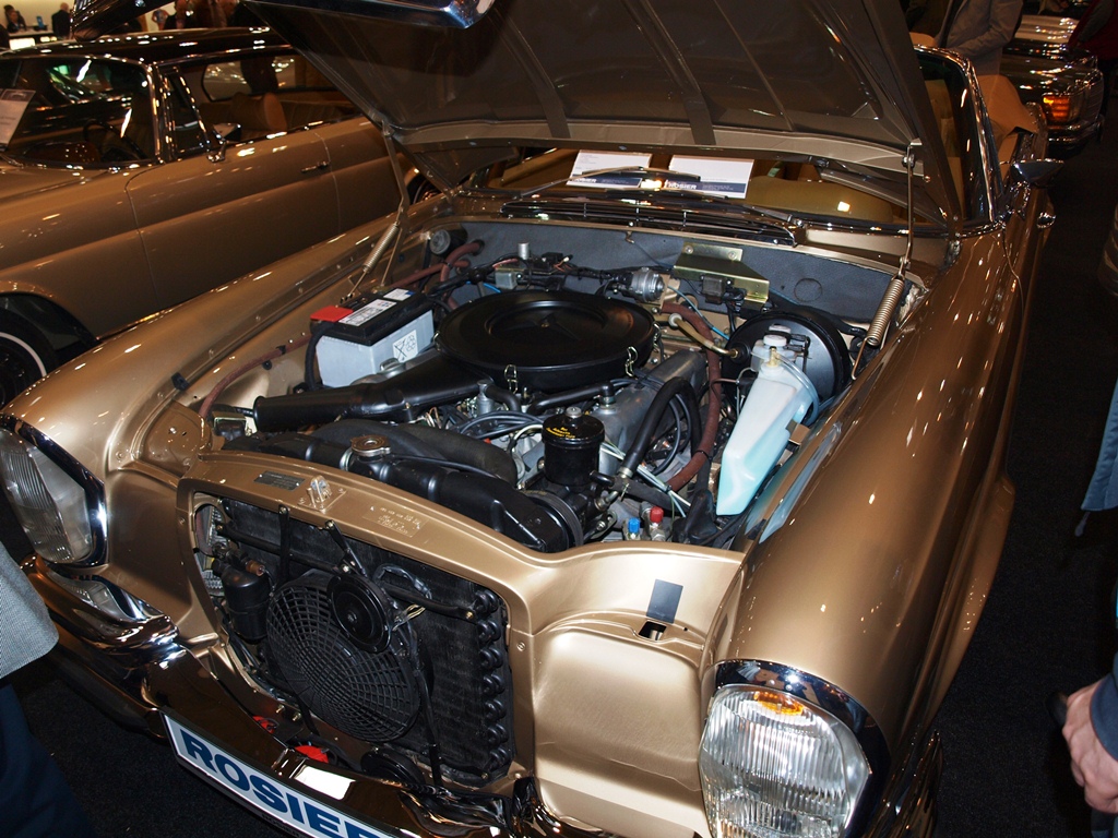 P3315716.JPG