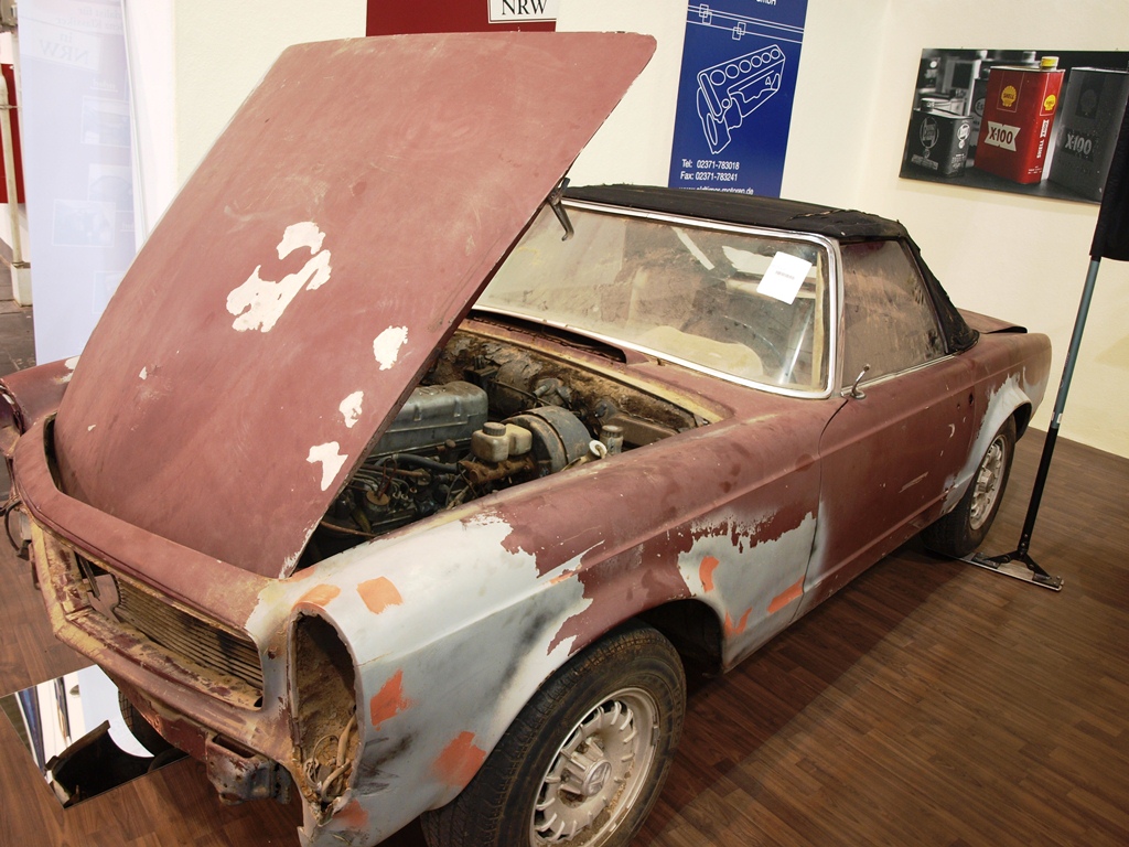 P3315717.JPG