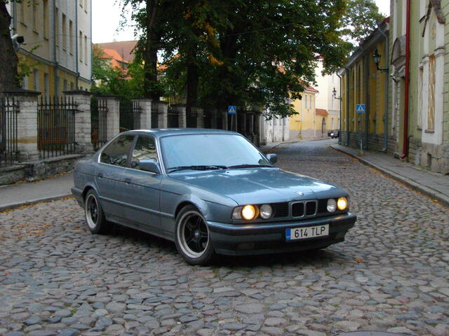 IMGP4139