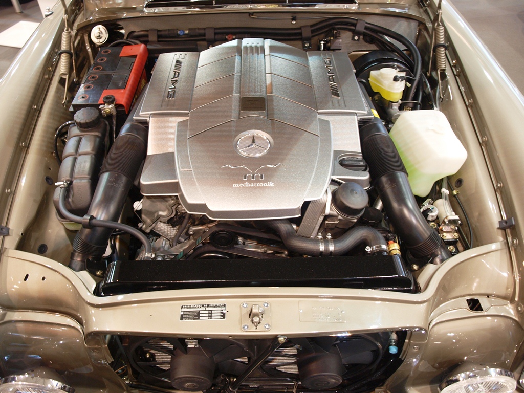 P4016146.JPG