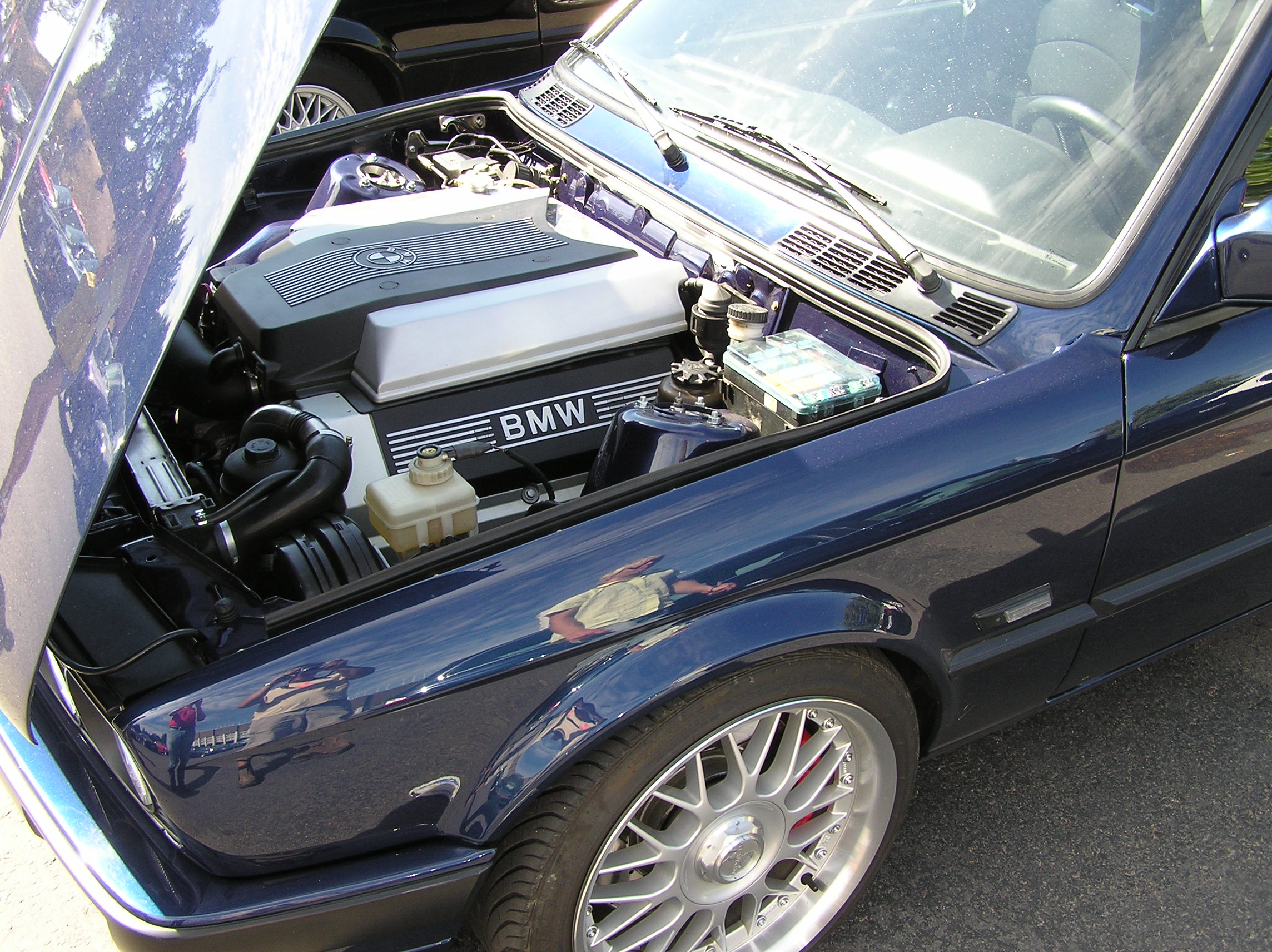 P7290029.JPG